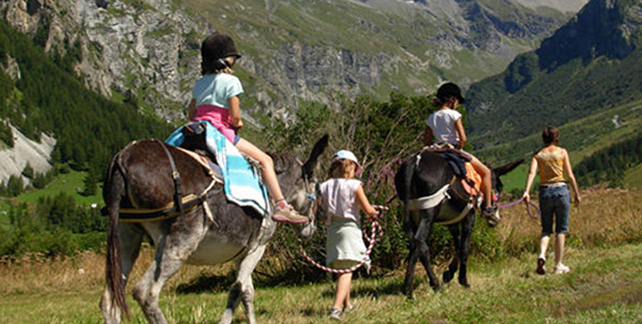 Balade avec des ânes en Vanoise à Peisey Nancroix