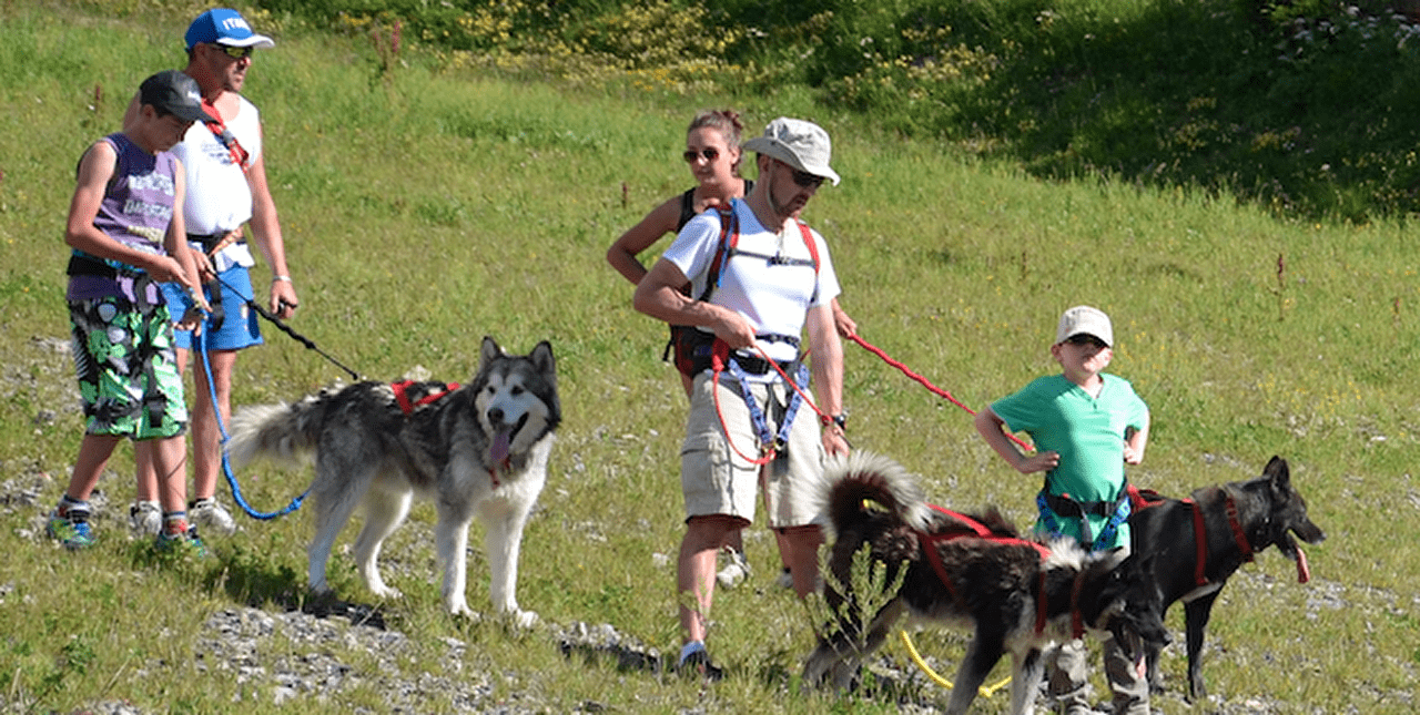 Groupe d'adultes et enfants en balade à la montagne avec des chiens attachés en laisse