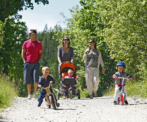 Adultes et enfants en vélo, trottinette et dans une poussette se baladant à pied sur un chemin de montagne en été