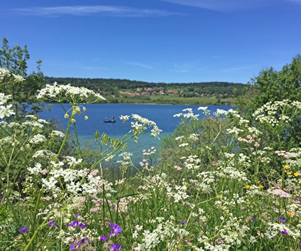Lac de montagne avec fleurs au premier plan