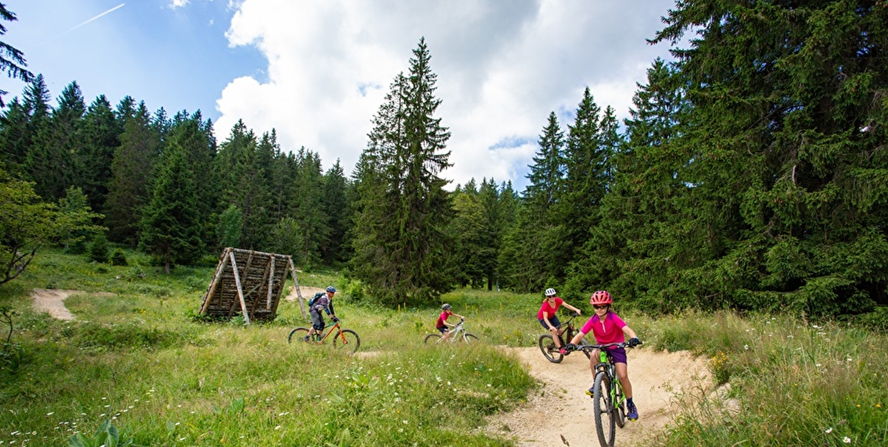 Enfants et parents roulant en vélo sur un bike park
