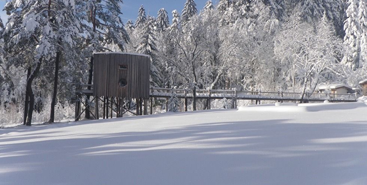 Cabane perchée en bois avec passerelle d'accès entourée d'arbres et posée sur la neige en montagne