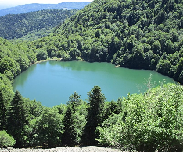 Vue sur le Lac des Perches entouré d'arbres et sous le soleil