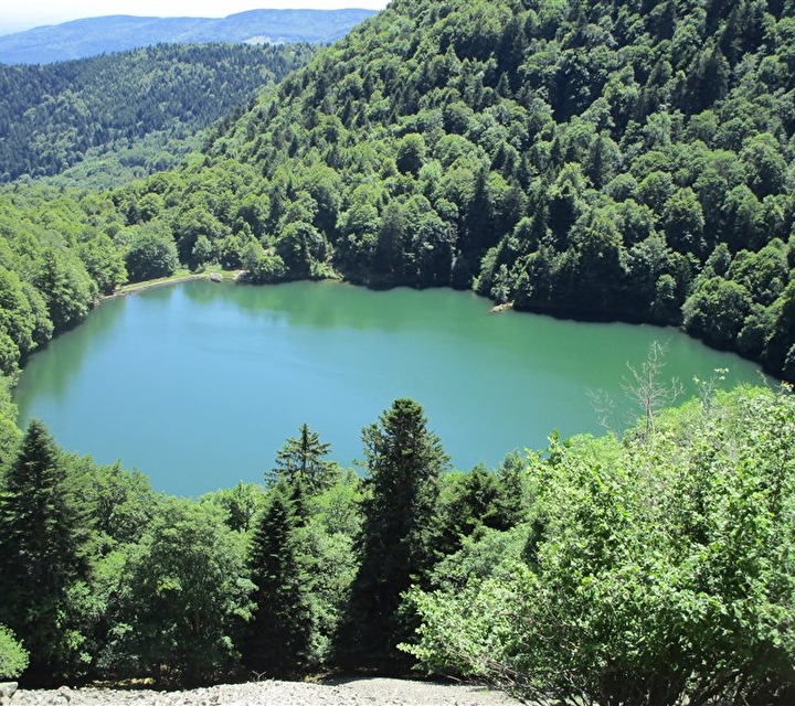 Vue sur le Lac des Perches entouré d'arbres et sous le soleil