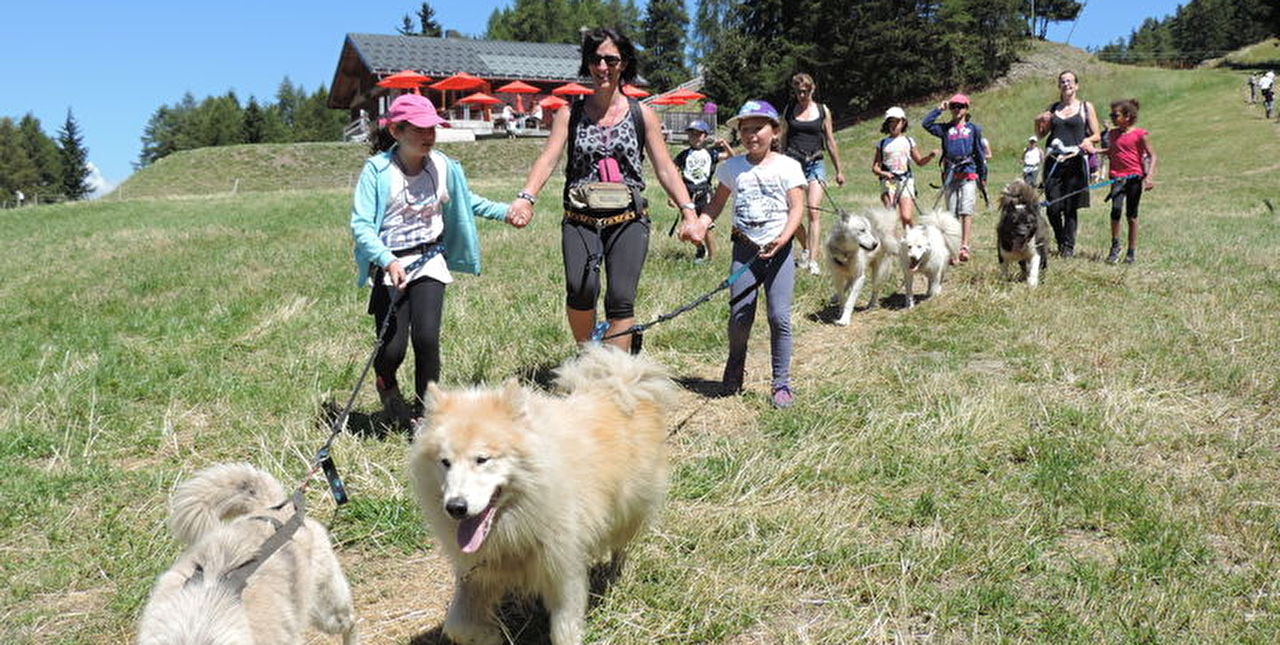 Groupe de personnes partant en balade en montagne avec des chiens en laisse