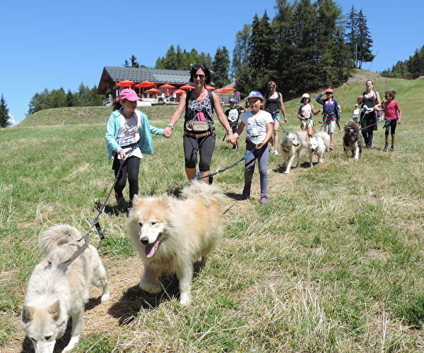 Groupe de personnes partant en balade en montagne avec des chiens en laisse