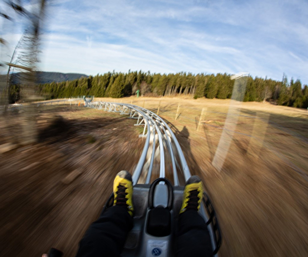 Piste de luge sur rail à la montagne avec effet de vitesse de la descente