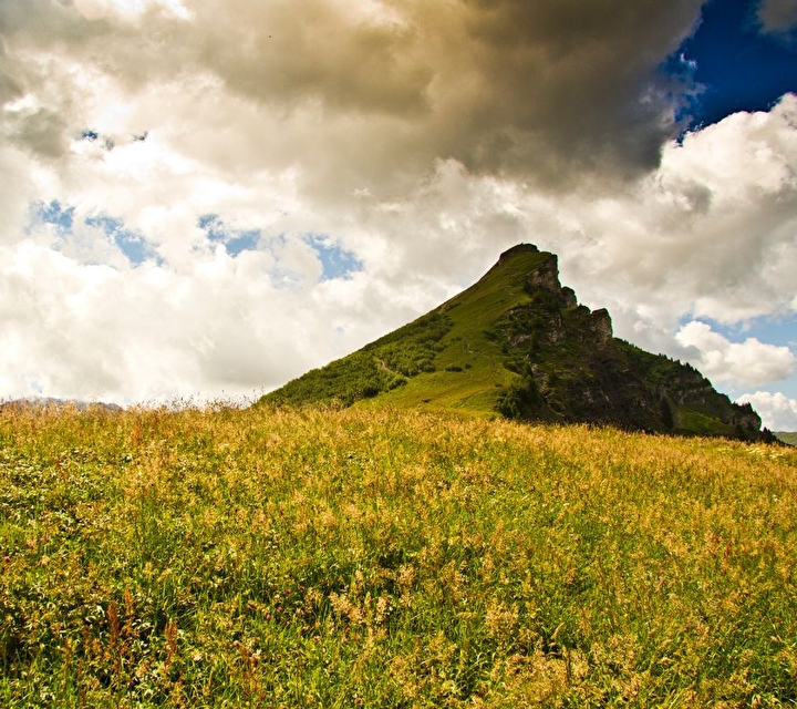 Panorama sur la montagne sous les nuages et sur une prairie pleine de fleurs jaunes