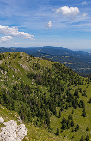 Randonneur contemplant un panorama sur les montagnes du Jura, avec des crêtes verdoyantes, un ciel bleu parsemé de nuages et des vallées s'étendant à l'horizon.
