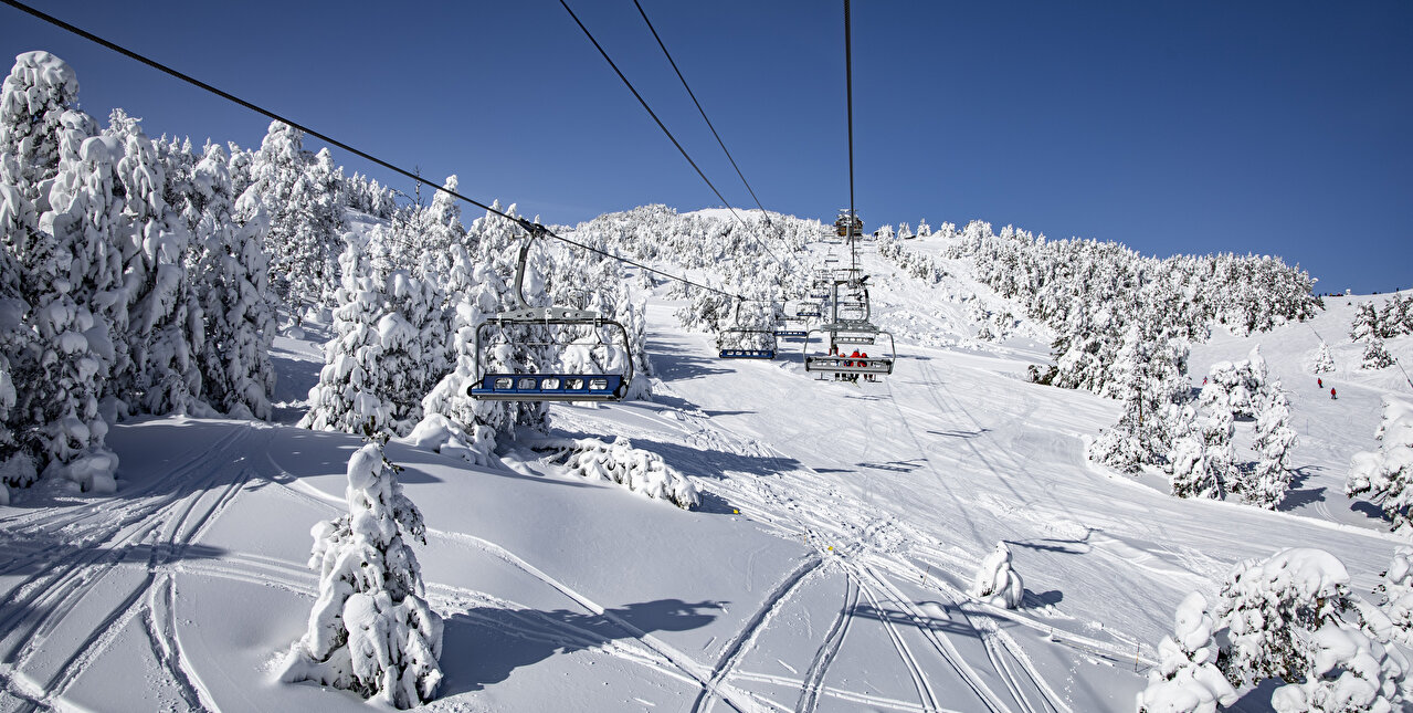 Télésièges au dessus des pistes avec sapins enneigés