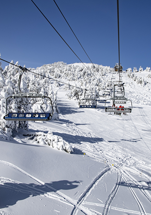 Télésièges au dessus des pistes avec sapins enneigés