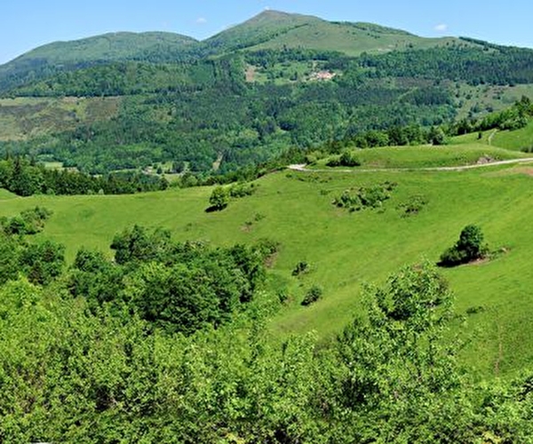 Panorama de pleine nature dans les Vosges sous le soleil
