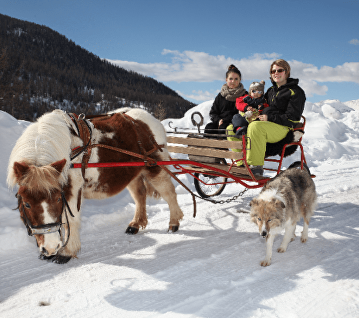 Famille dans une calèche tirée par un cheval sur une route enneigée