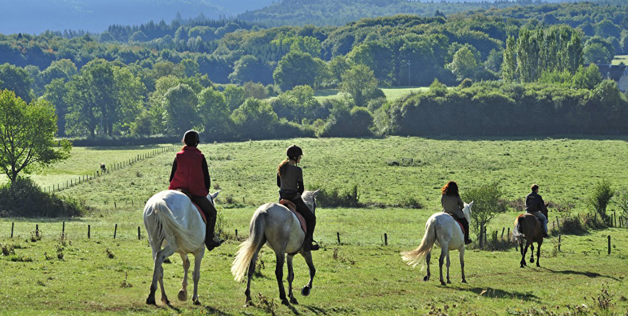 Groupe de personnes effectuant une balade à cheval en pleine nature face aux montagnes