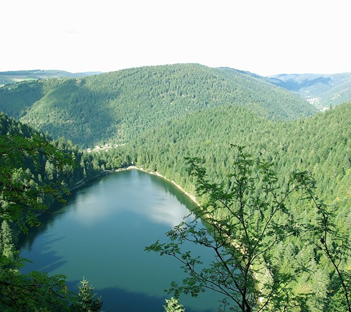 Vue et panorama sur un lac entouré de nature verdoyante