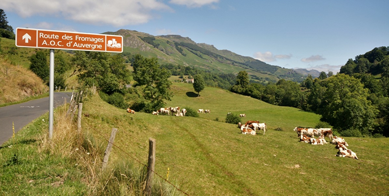 Route des fromages, AOC d'Auvergne dans le Cantal