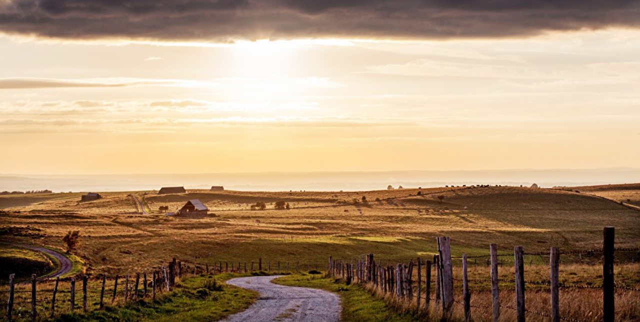 Route traversant la nature et les champs sous un soleil couchant