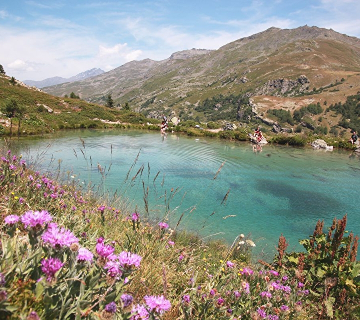 Panorama et vue sur la montagne en été entourée d'un lac et de fleurs roses