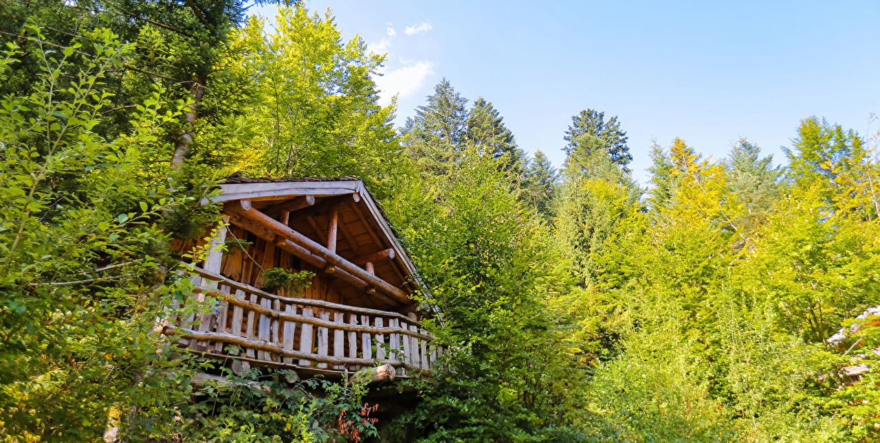Refuge de montagne en bois au milieu des arbres et sapins en été