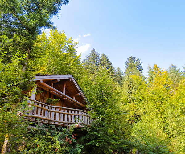 Refuge de montagne en bois au milieu des arbres et sapins en été