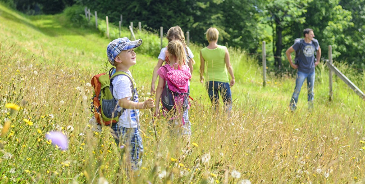 Enfants et adultes en balade dans un pré rempli de fleurs en été