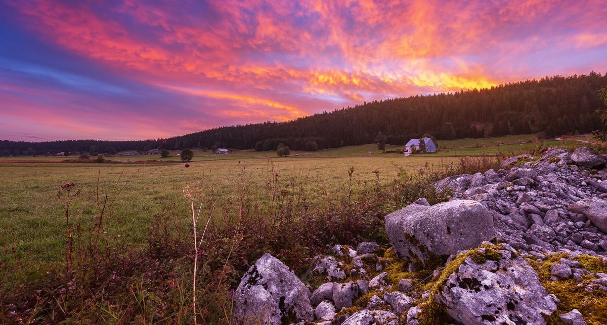 Coucher de soleil aux teintes rosées et violacées dans une vallée de montagne entourée de sapins