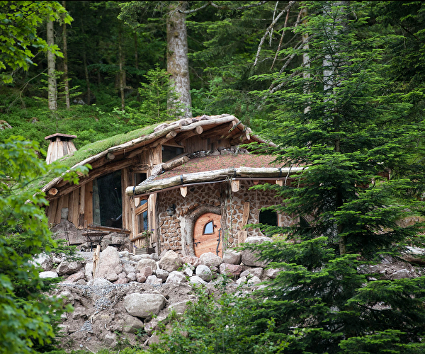 Vue sur un chalet fait de bois et de pierres au mieu de la forêt en montagne