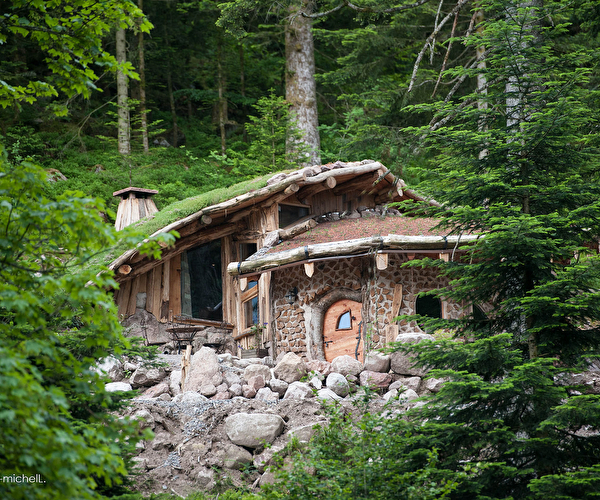 Vue sur un chalet fait de bois et de pierres au mieu de la forêt en montagne