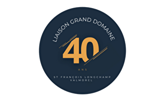 Logo du domaine skiable relié Grand Domaine