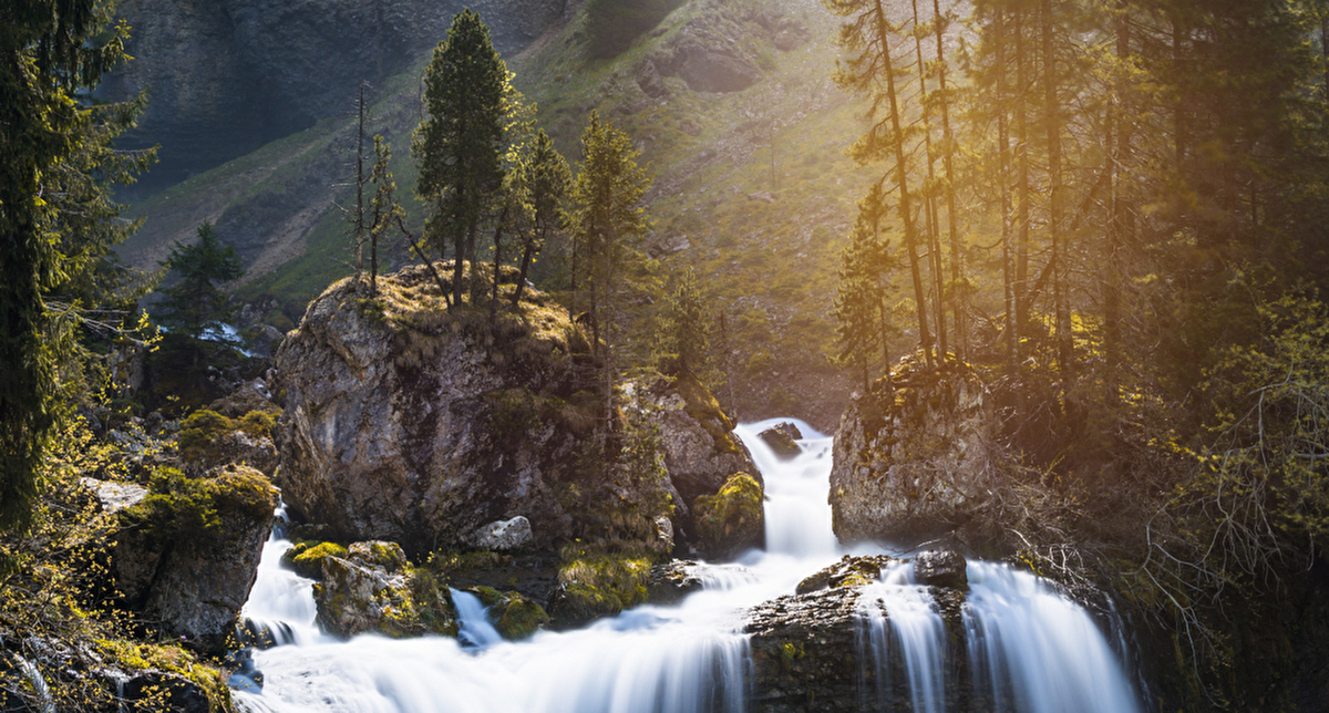 Vue sur une cascade de montagne entourée d'arbres et de sapins