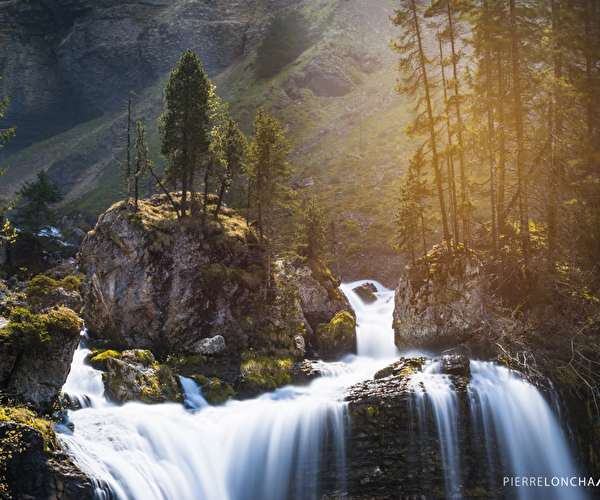 Vue sur une cascade de montagne entourée d'arbres et de sapins