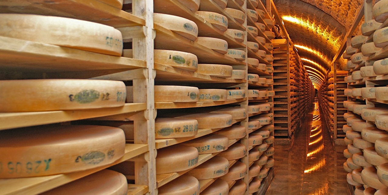 Immersion dans une cave à fromage où des meules de comté attendent pour arriver à maturation