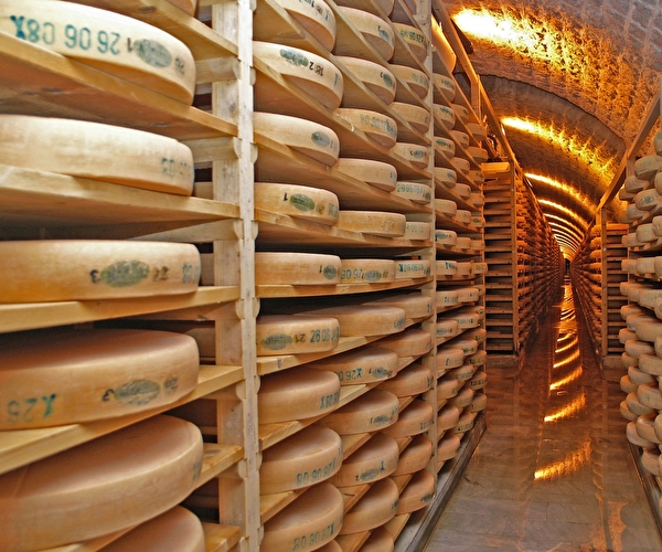 Immersion dans une cave à fromage où des meules de comté attendent pour arriver à maturation