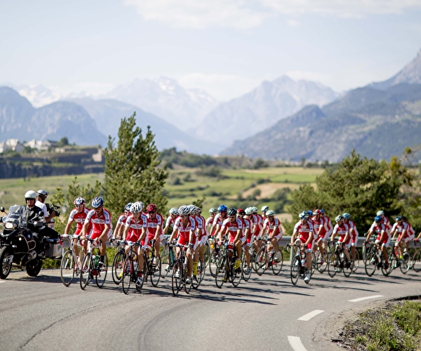 Equipée de cyclistes en montagne gravissant un e route qui monte l'été