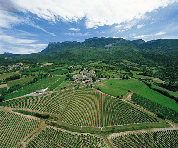 Vue sur les vignes en parcelles près d'un village proche des montagnes vertes