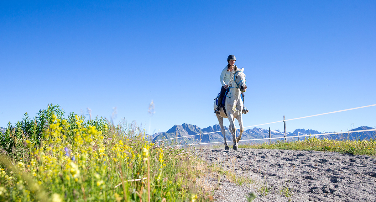Randonnée à cheval pour une cavalière face aux sommets des montagnes en pleine nature l'été