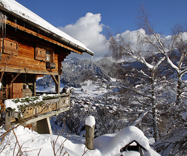 Vue sur un chalet de montagne en bois recouvert de neige