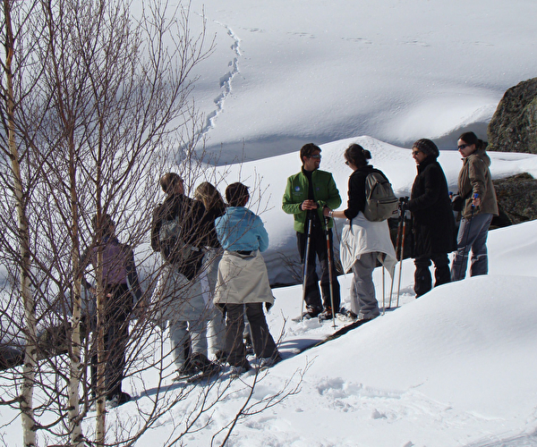 Groupe de personnes effectuant une randonnée à ski et leur accompagnateur pour les guider et prodiguer les bons conseils