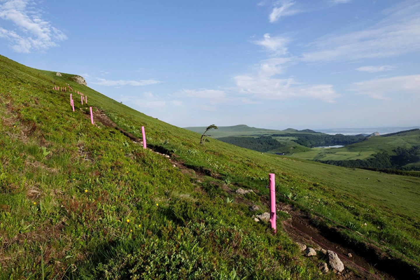 Chemin de montagne balisé par des poteaux roses pour accéder au sommet