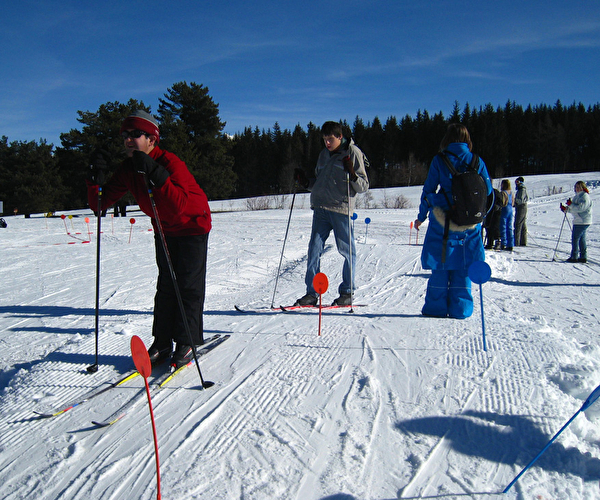 Groupe de personnes avec handicap effectuant du ski de fond sur une piste en montagne l'hiver