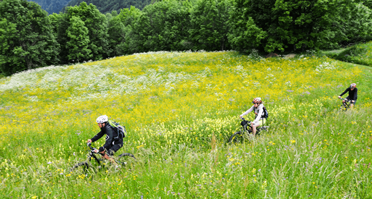 Personnes effectuant une randonnée en VTT en pleine nature en montagne l'été