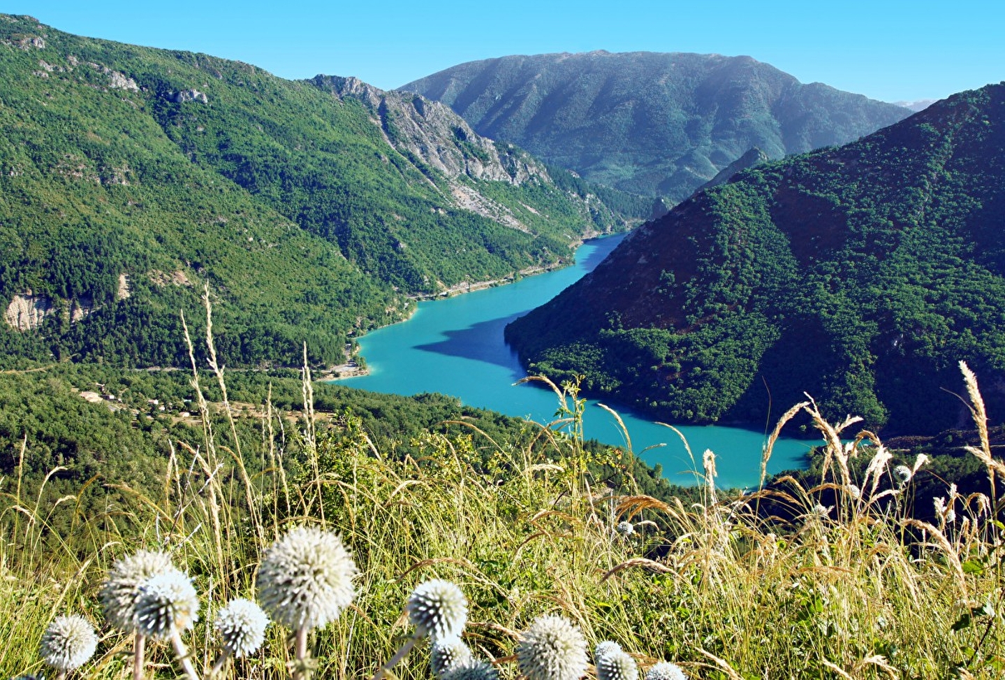 Vue sur un lac de couleur turquoise qui serpente au milieu des montagnes et des fleurs