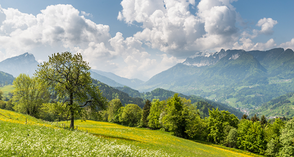 Le printemps s'installe en basse montagne