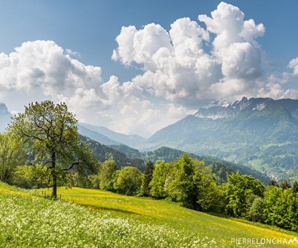 Le printemps s'installe en basse montagne