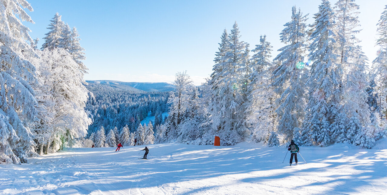 Skieurs sur une piste avec sapins enneigés et rayons de soleil