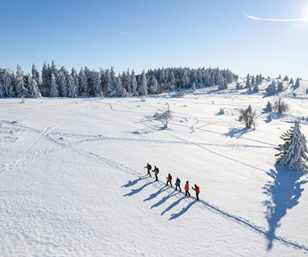 Groupe de randonneurs dans la neige avec sapins enneigés
