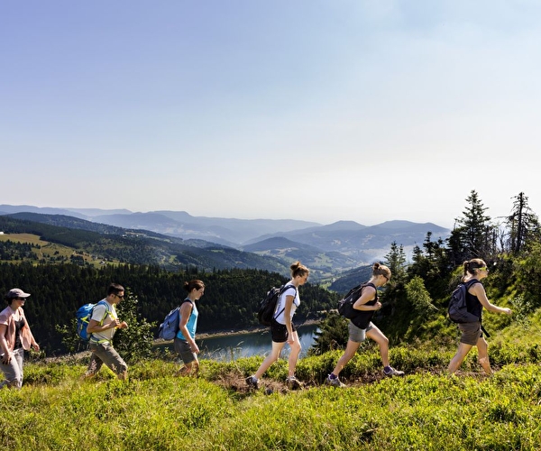 Groupe de personnes effectuant une randonnée en montagne l'été