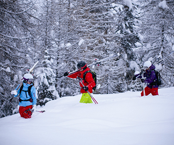Skieurs équipés marchant dans la poudreuse en montagne près de sapins enneigés