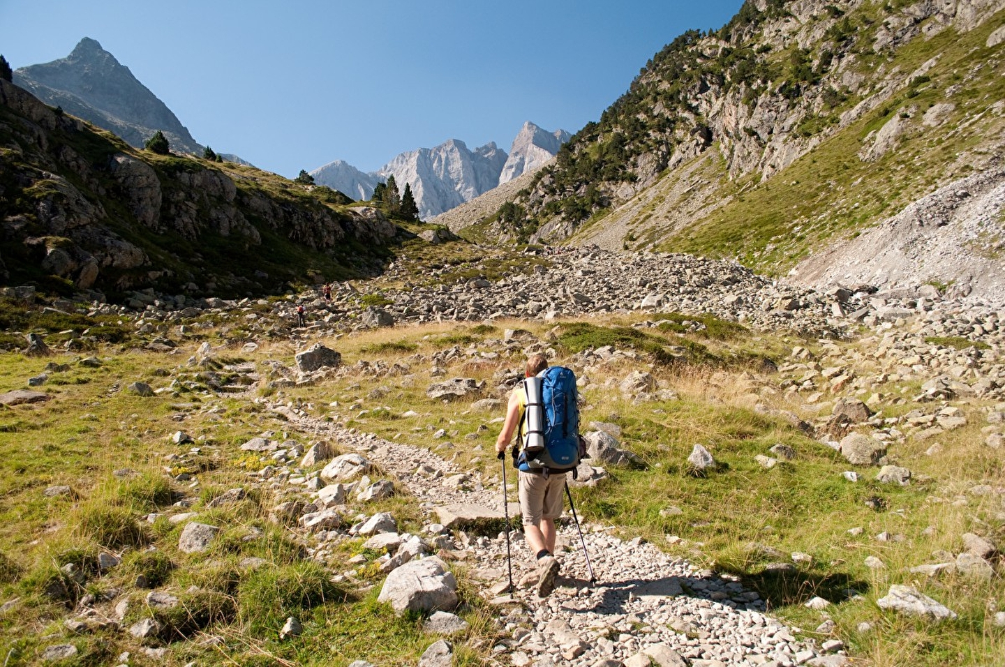 Personne effectuant une randonnée sur un chemin à travers la montagne verdoyante