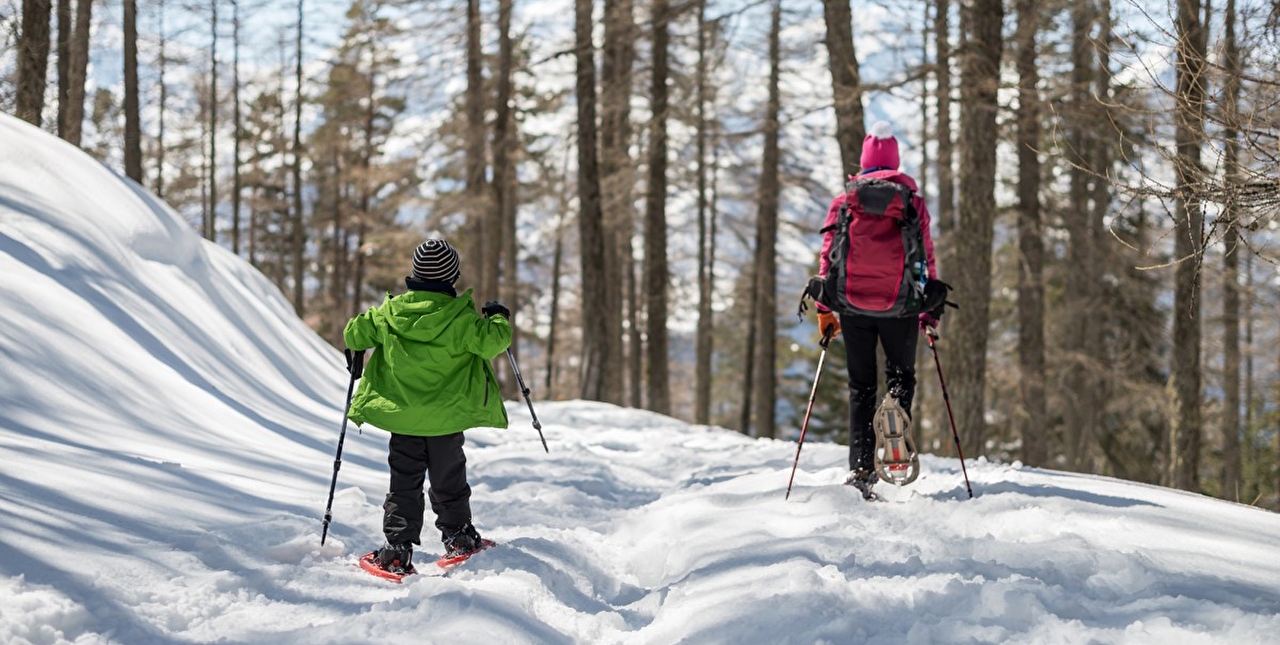 Adulte et enfant effectuant une randonnée en raquettes dans la neige en forêt l'hiver